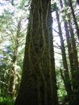 DSCN2418.jpg