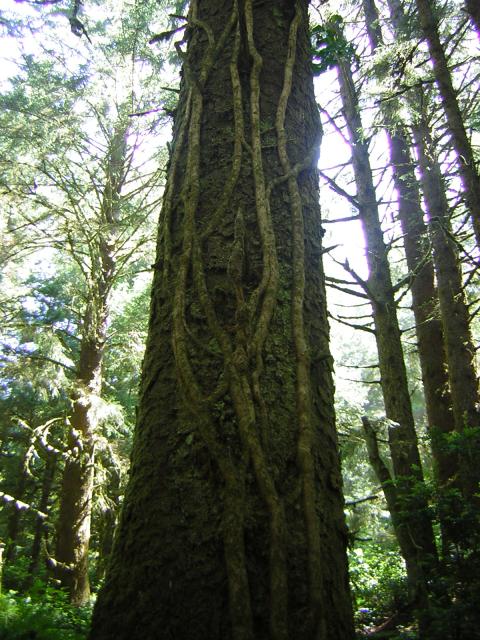 DSCN2418.jpg