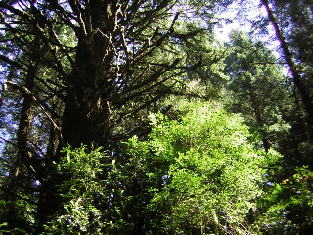 DSCN2420.jpg