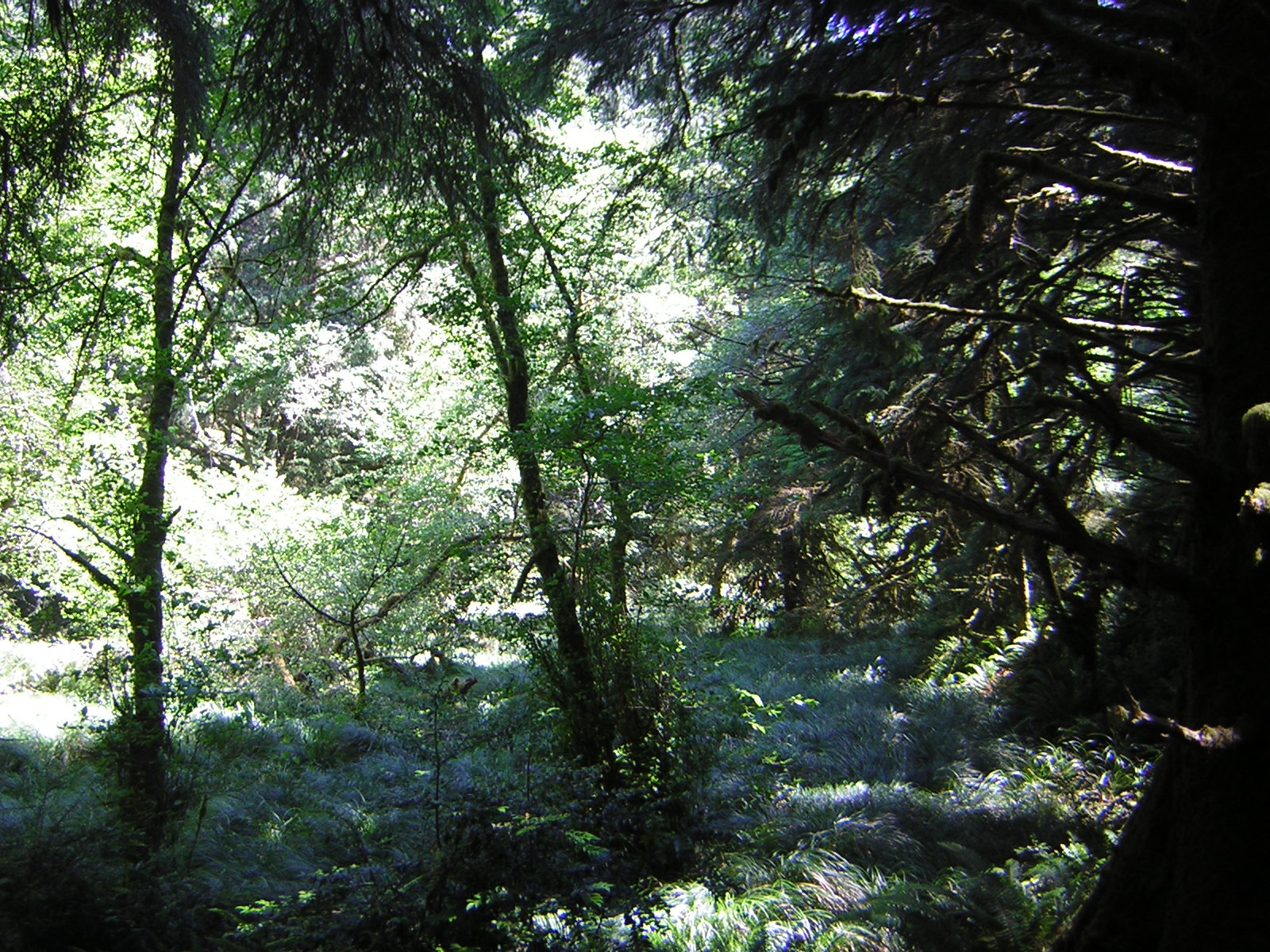 DSCN2421.jpg