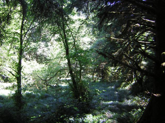 DSCN2421.jpg