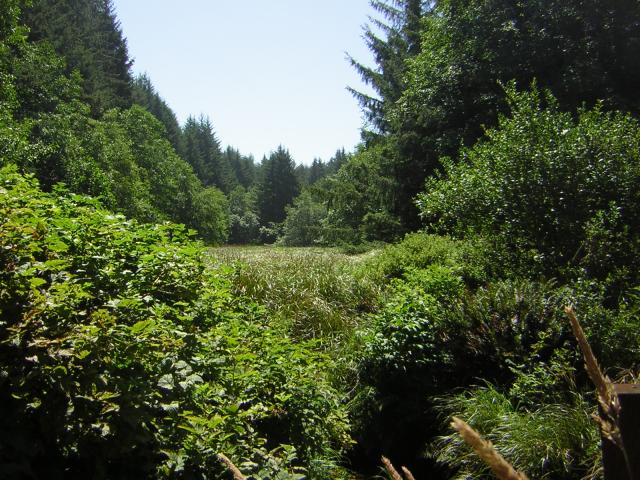 DSCN2422.jpg