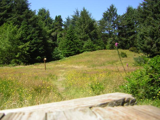 DSCN2423.jpg