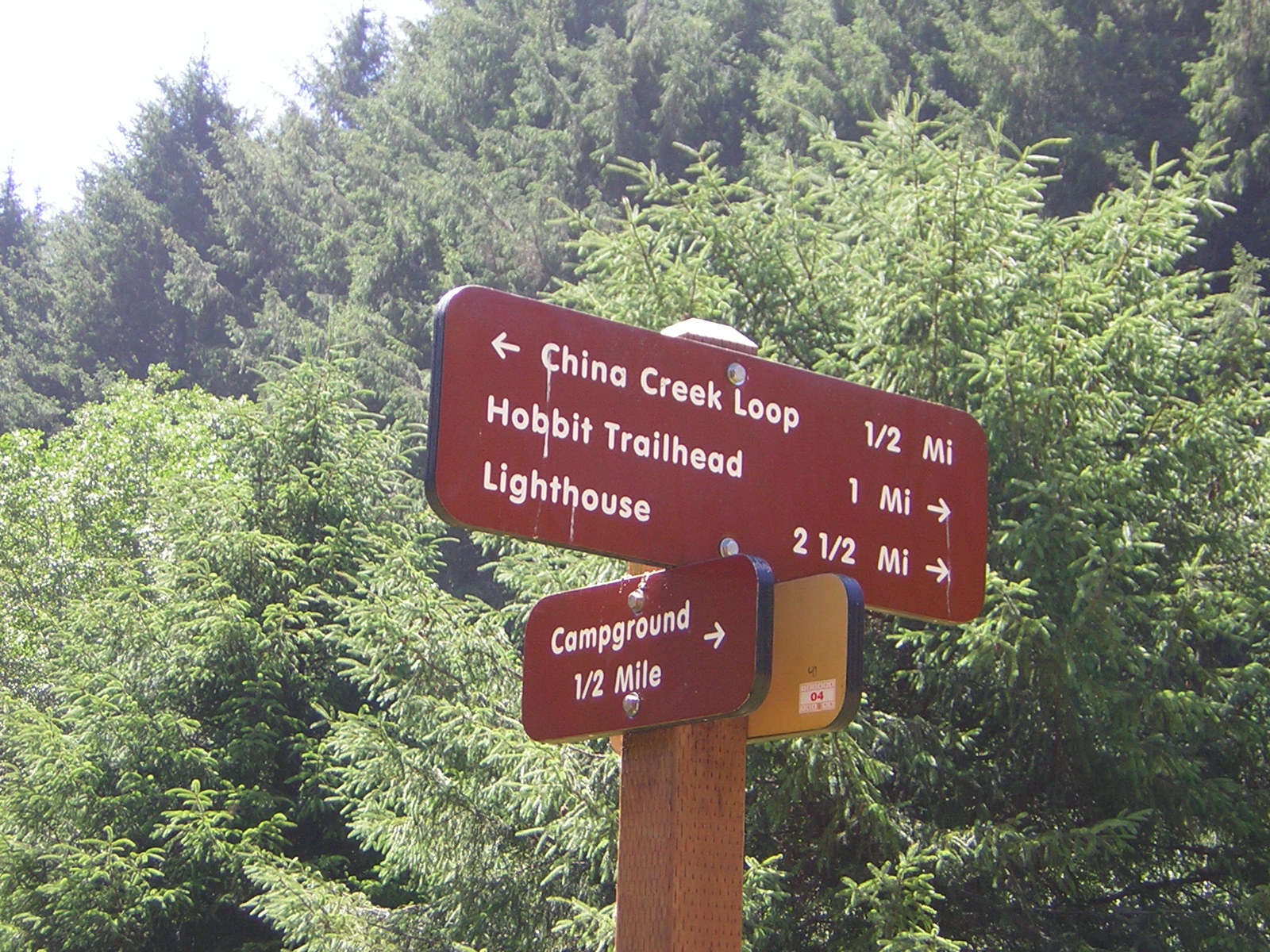 DSCN2426.jpg