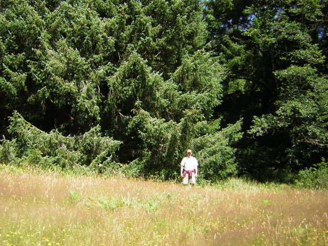 DSCN2427.jpg