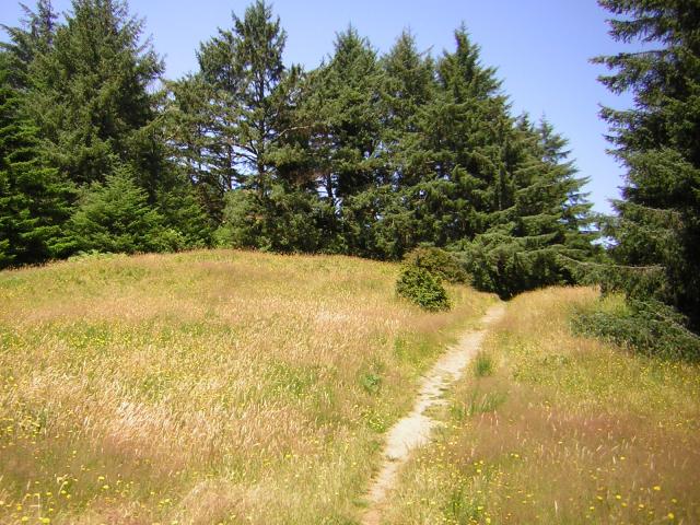 DSCN2428.jpg