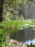 DSCN2429.jpg
