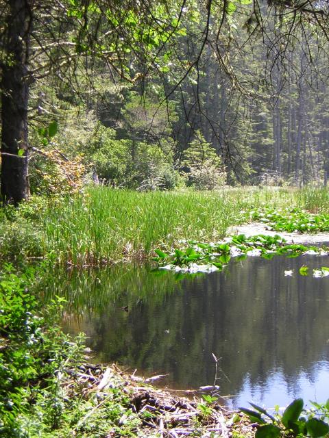 DSCN2429.jpg