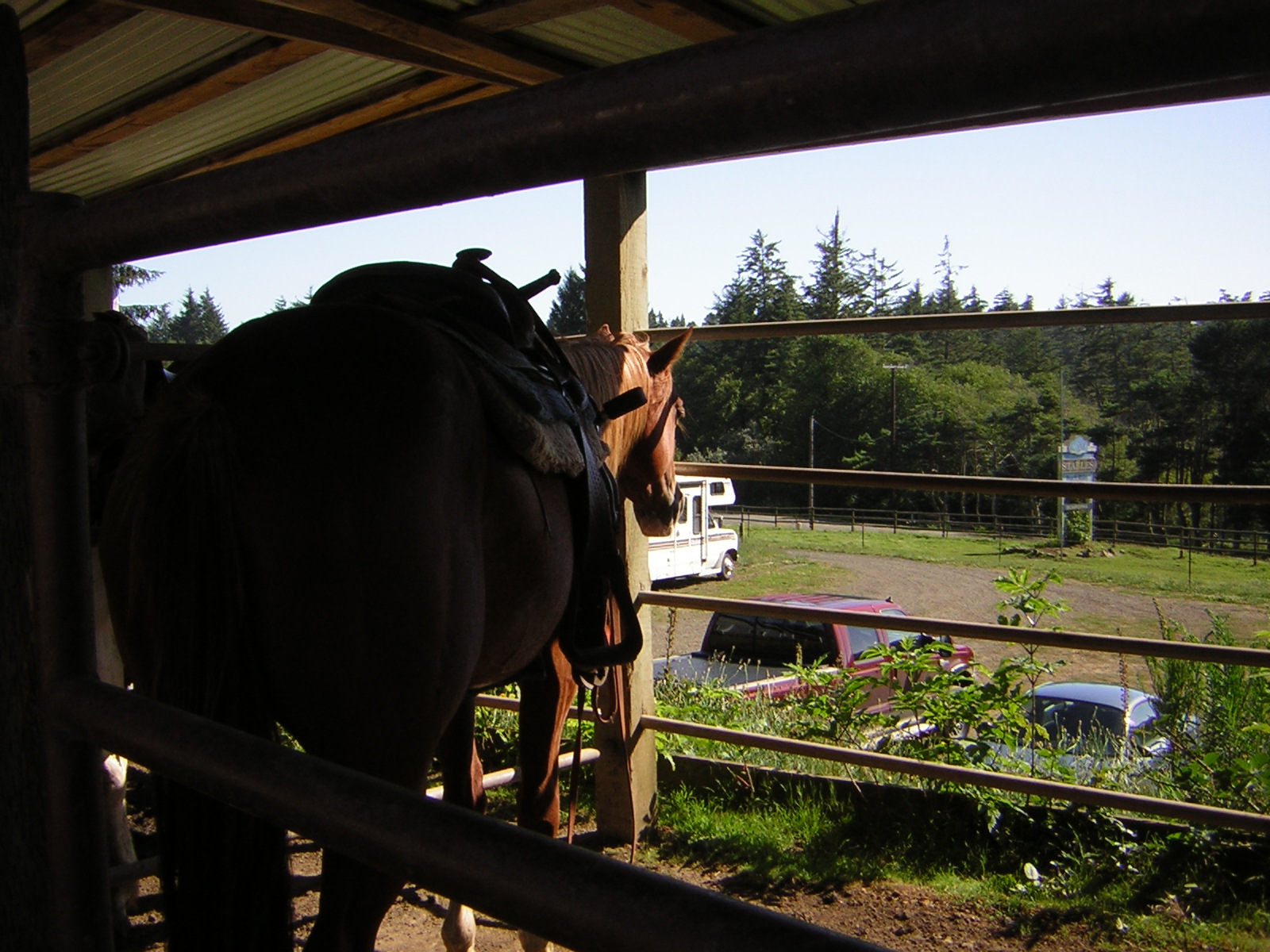 DSCN2431.jpg