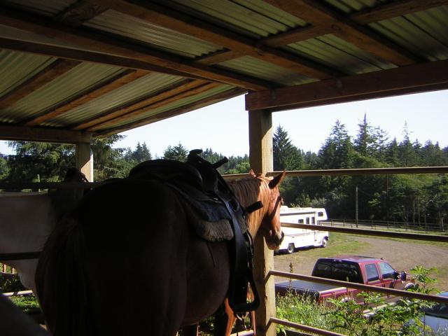DSCN2432.jpg