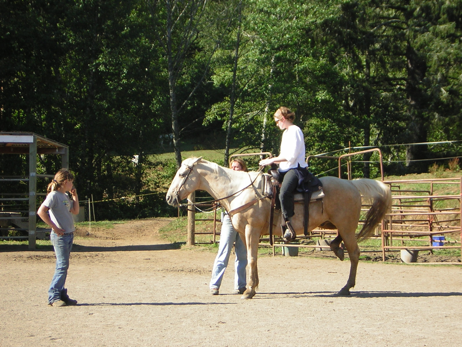 DSCN2433.jpg