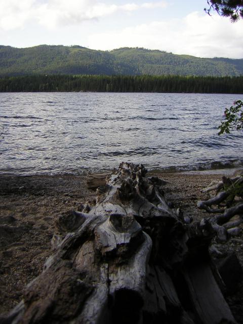 DSCN1875.jpg