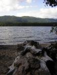 DSCN1876.jpg