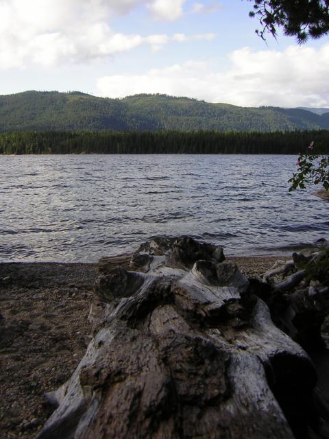 DSCN1876.jpg