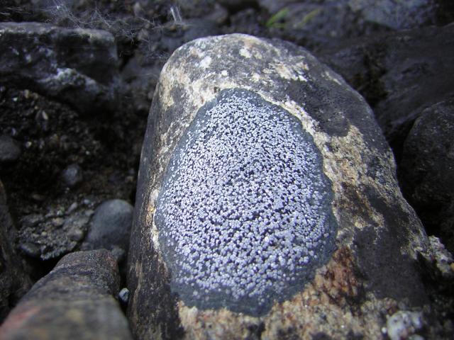 DSCN1878.jpg