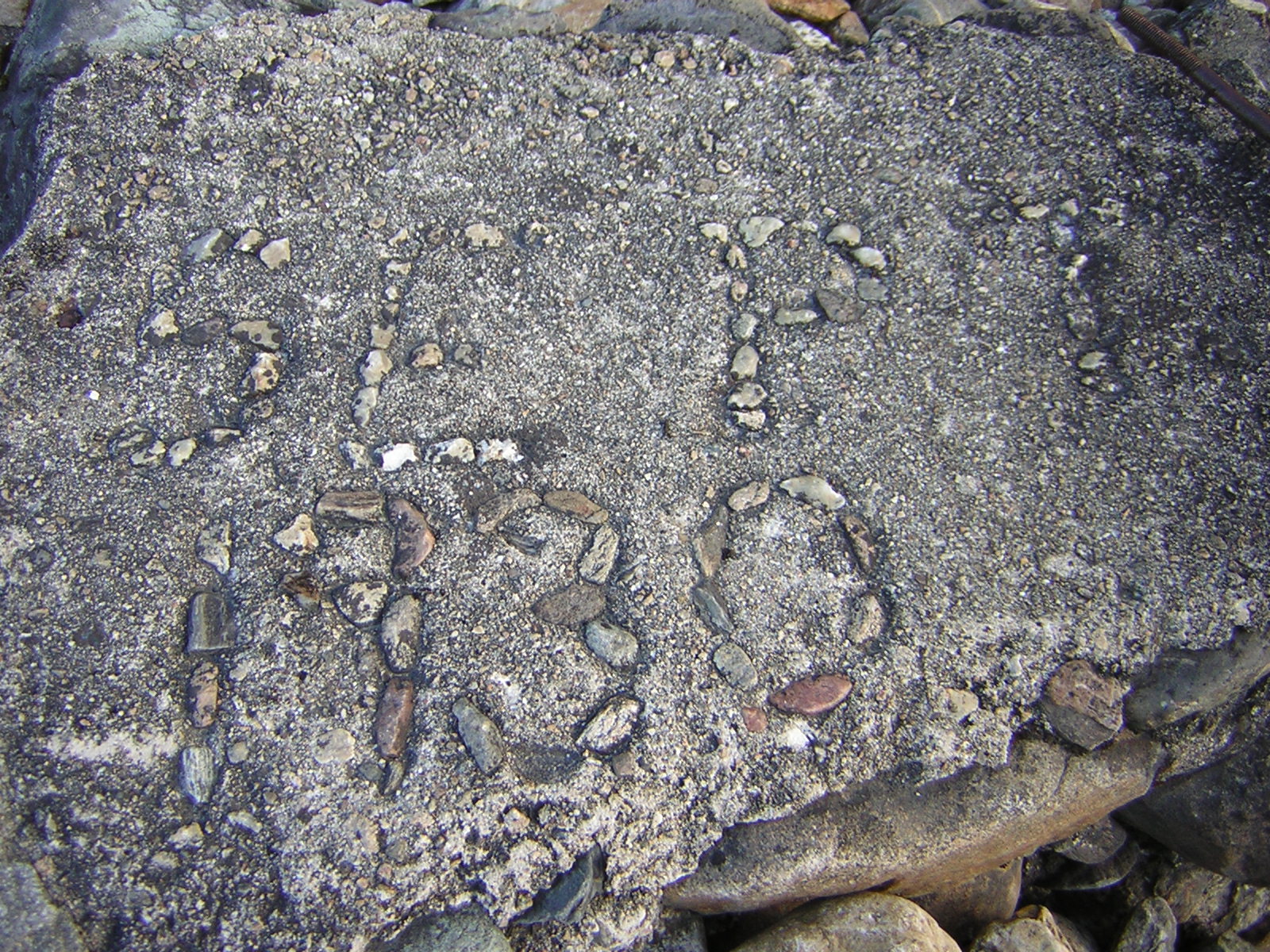 DSCN1879.jpg