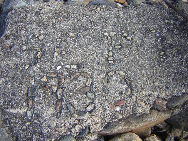 DSCN1879.jpg