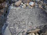 DSCN1880.jpg