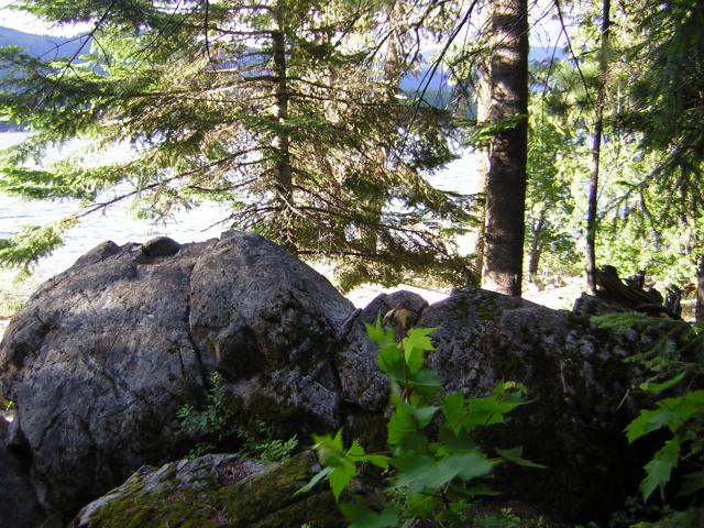 DSCN1888.jpg