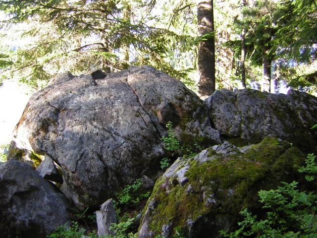 DSCN1889.jpg