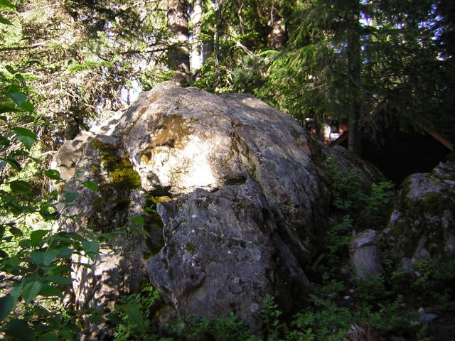 DSCN1891.jpg