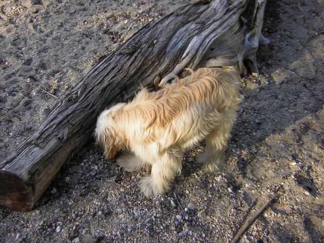 DSCN1894.jpg