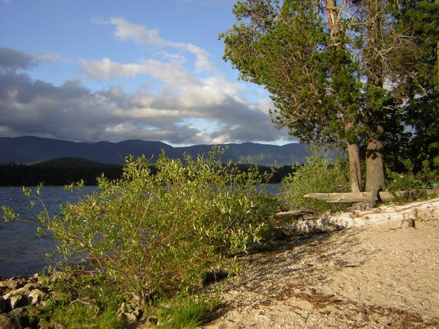 DSCN1899.jpg
