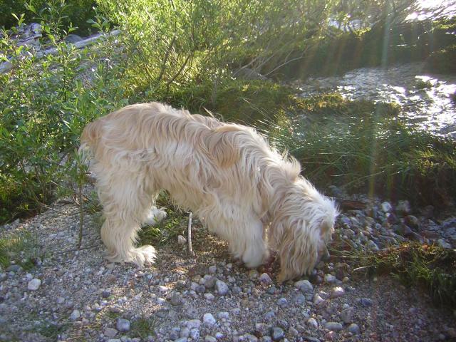 DSCN1912.jpg