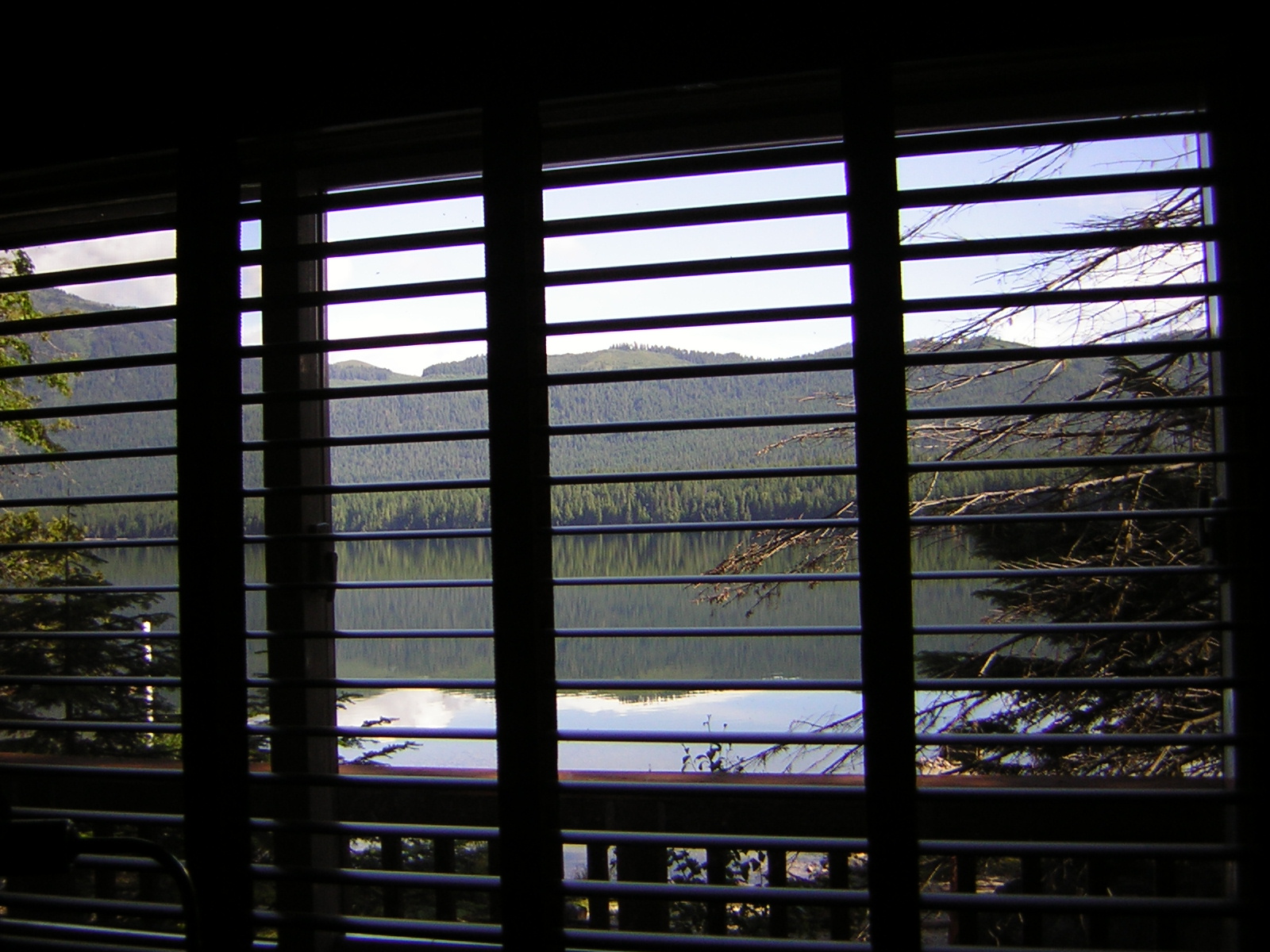 DSCN1916.jpg