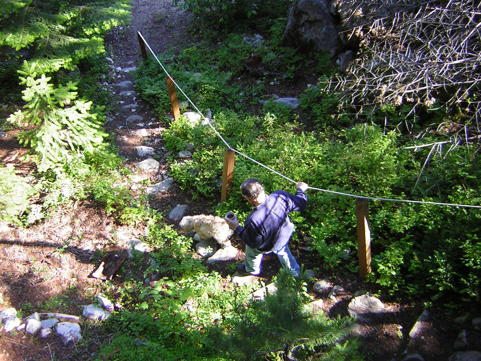 DSCN1917.jpg