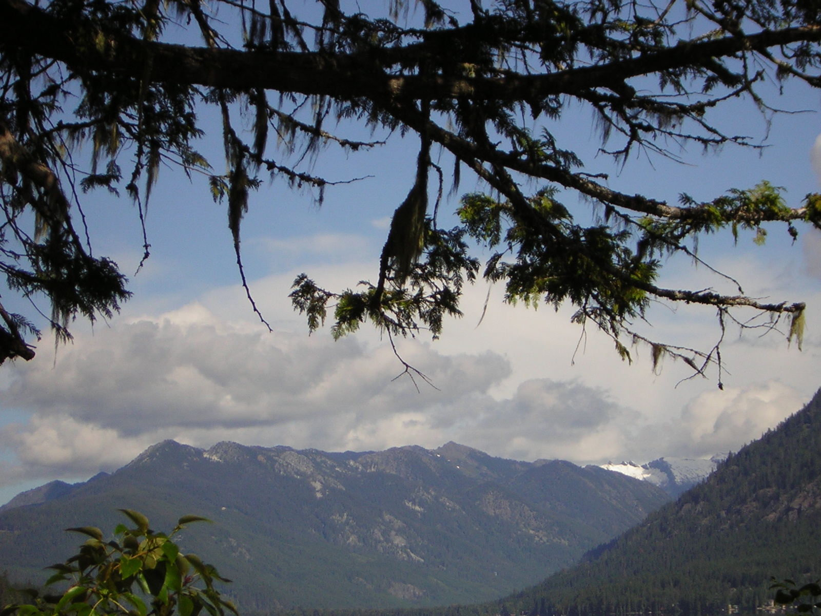DSCN1919.jpg