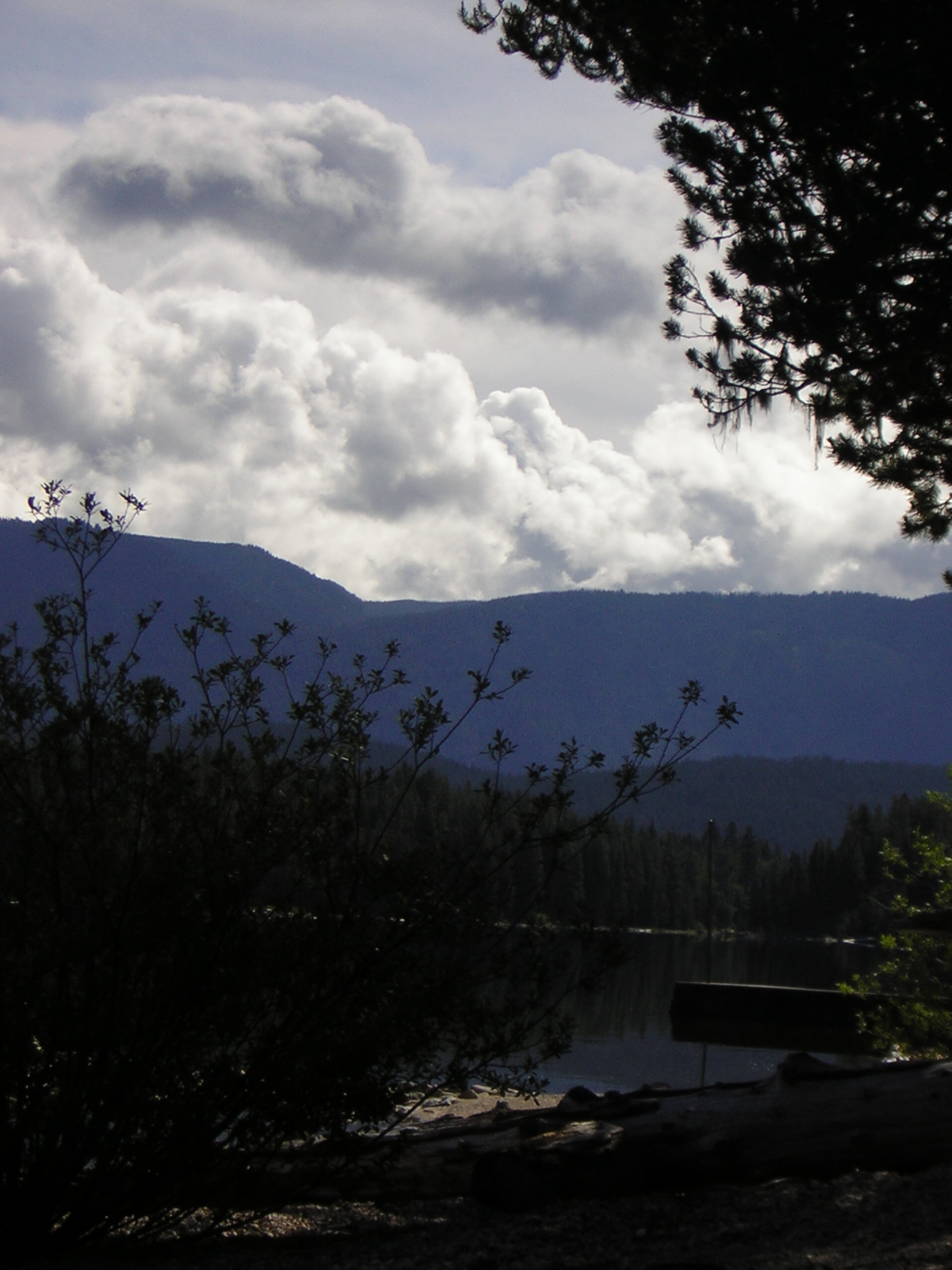 DSCN1922.jpg