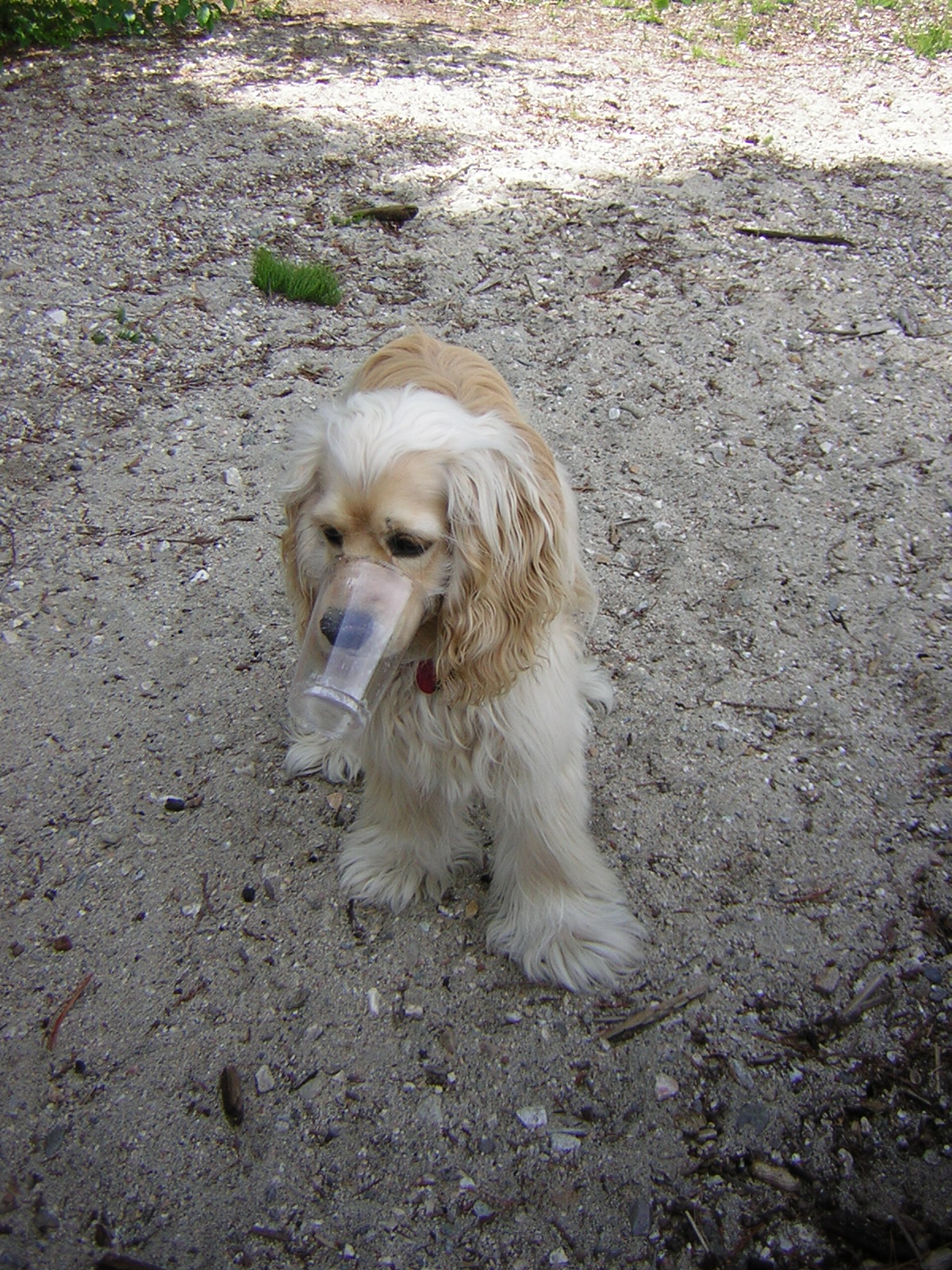 DSCN1939.jpg