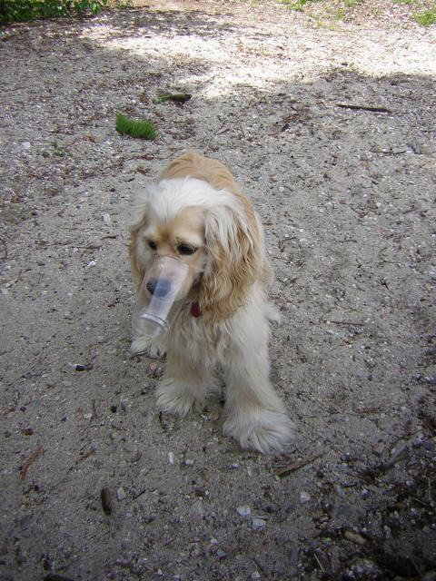 DSCN1939.jpg