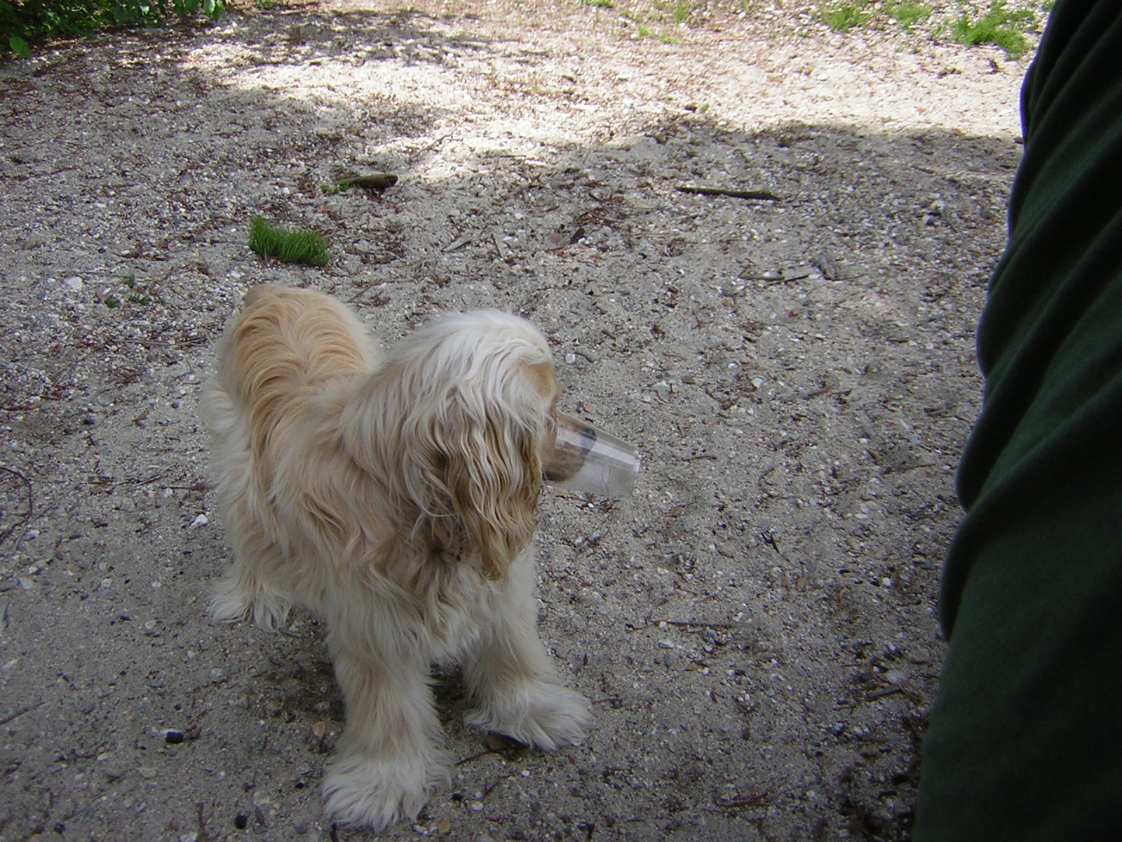 DSCN1940.jpg