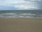 At the beach!