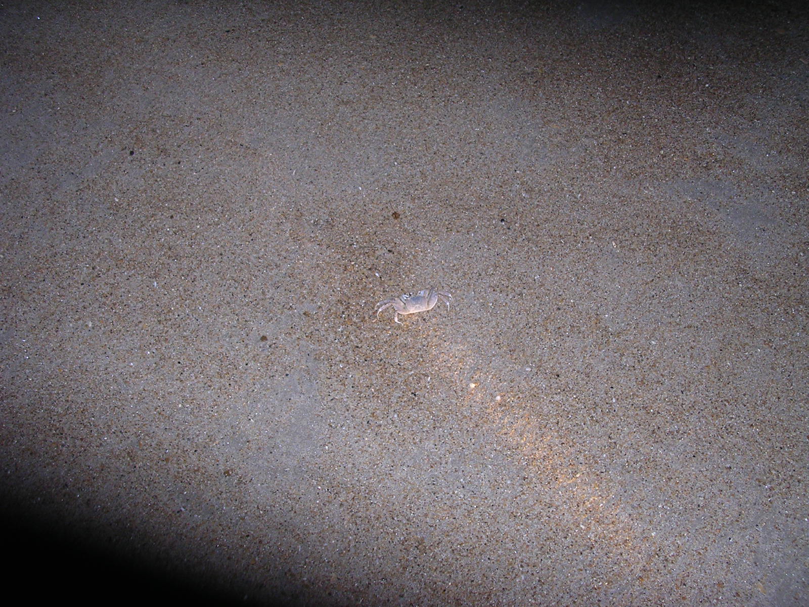 dscn2288.jpg
