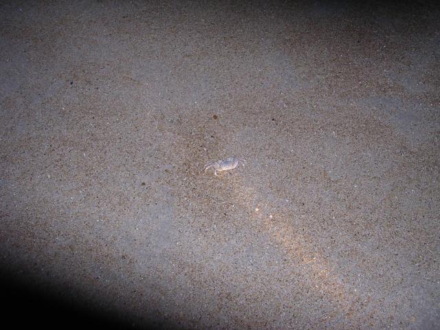 dscn2288.jpg