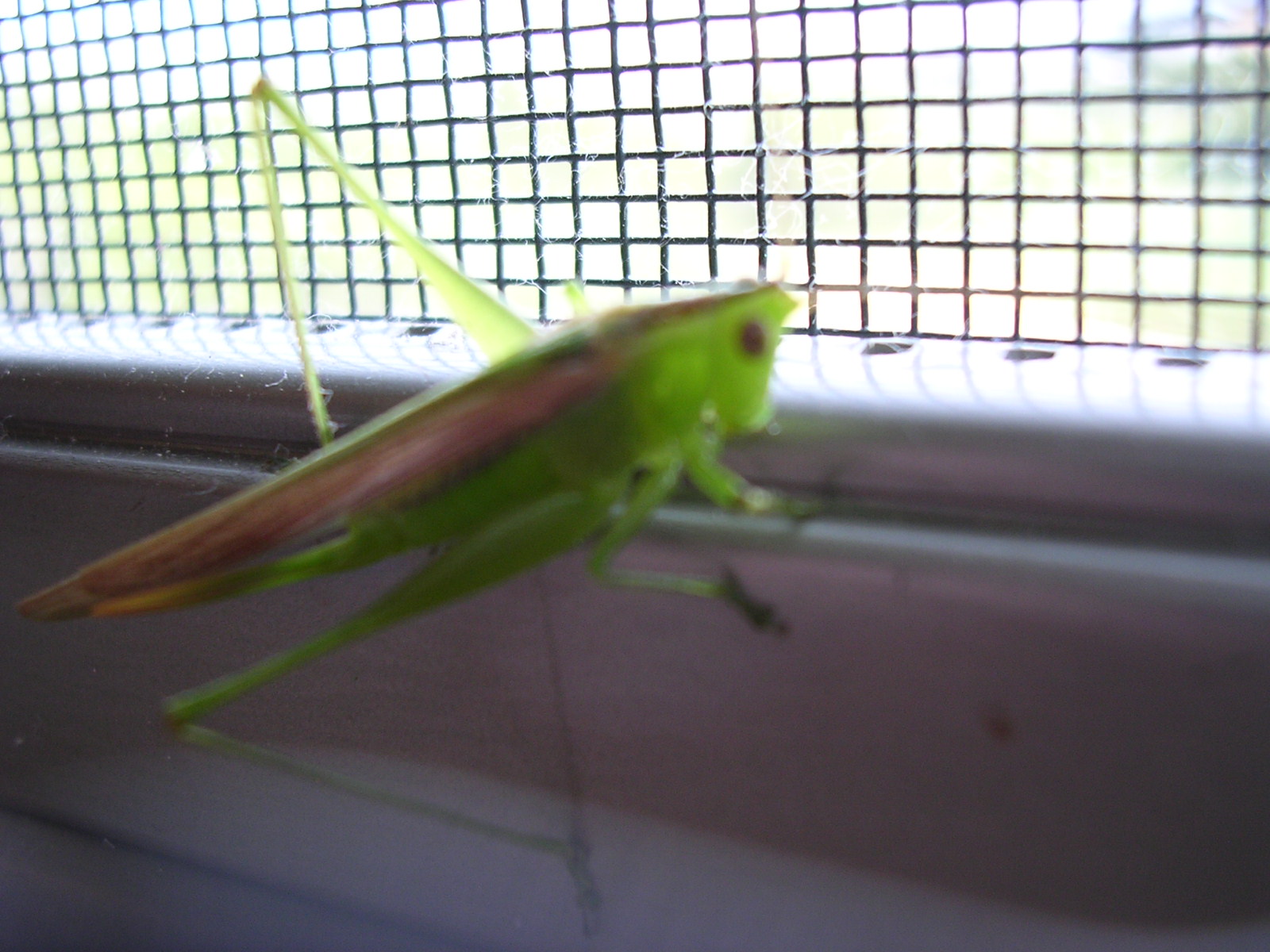 dscn2300.jpg