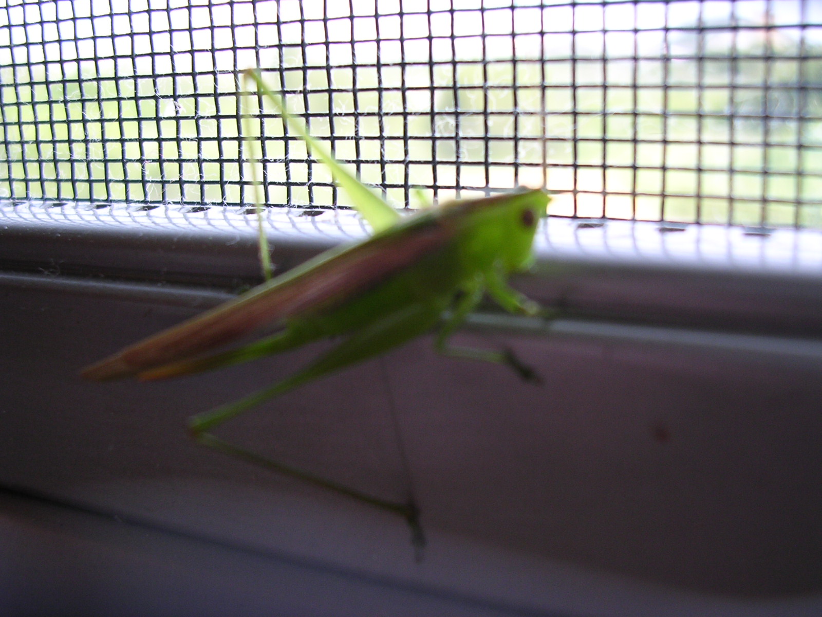 dscn2301.jpg