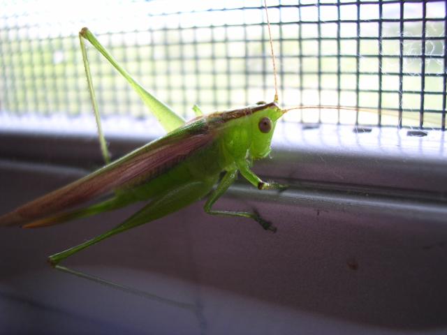 dscn2302.jpg