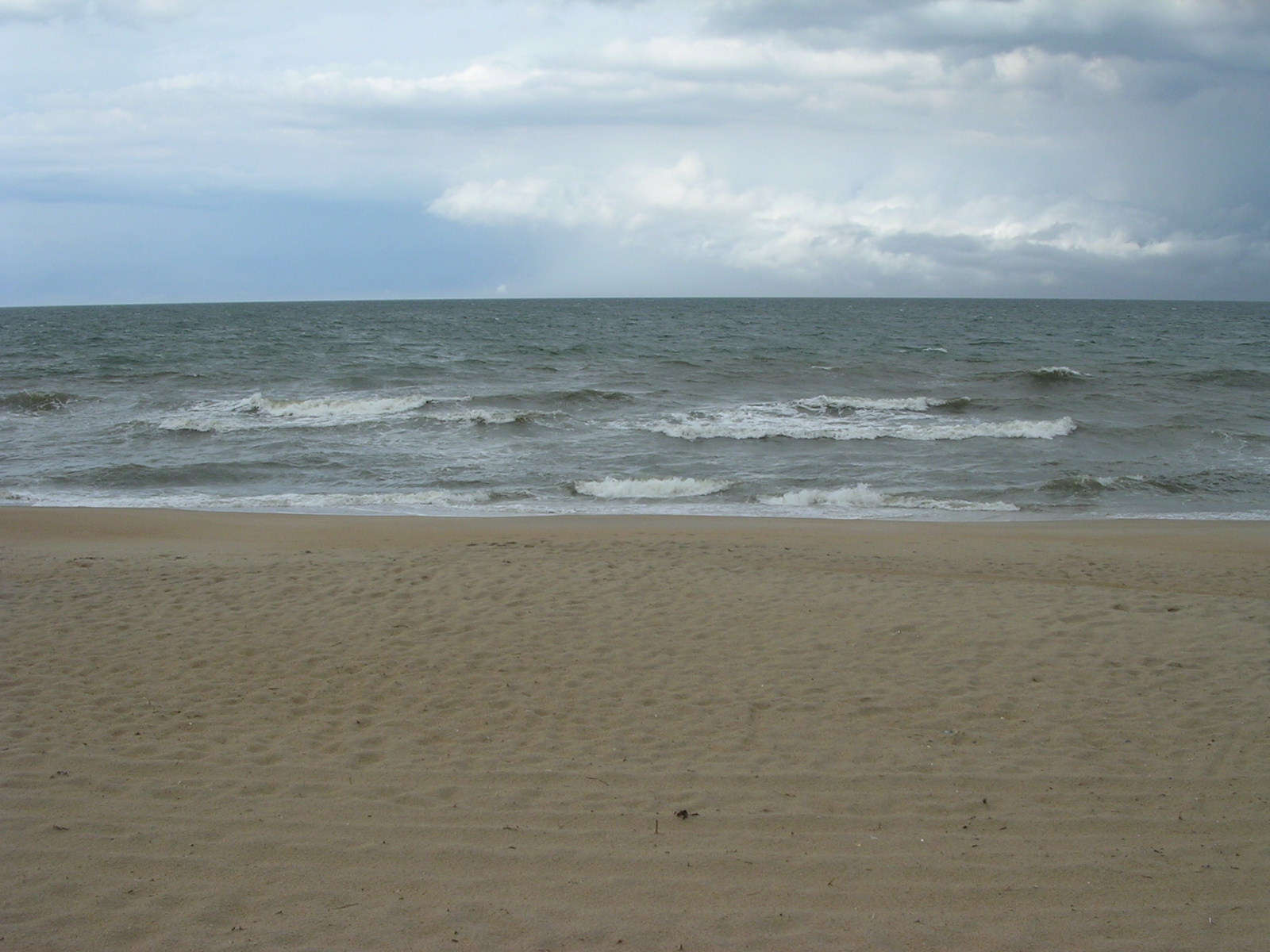 dscn2307.jpg