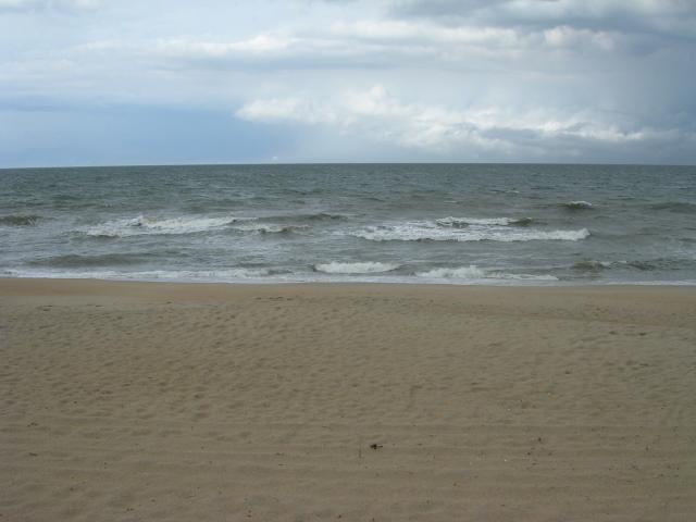 dscn2307.jpg