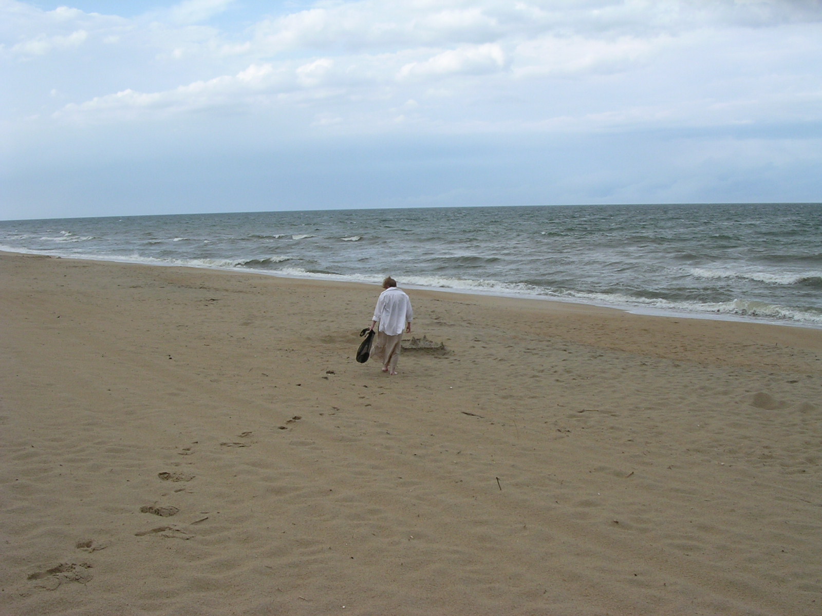 dscn2308.jpg