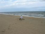 dscn2308.jpg
