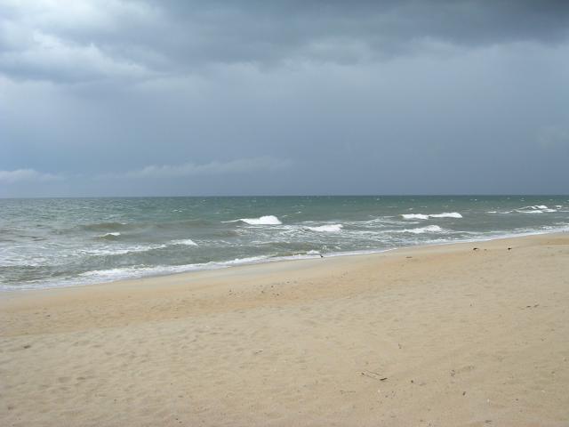 dscn2311.jpg