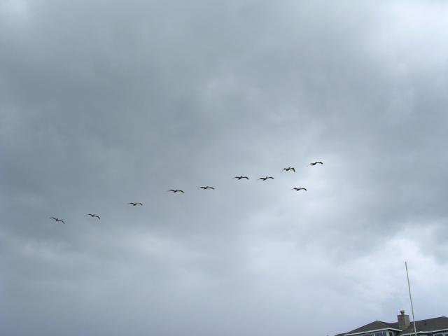 dscn2312.jpg