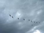 dscn2313.jpg