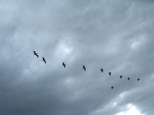 dscn2313.jpg
