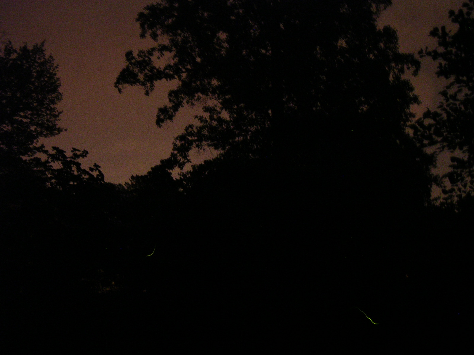 dscn2234.jpg